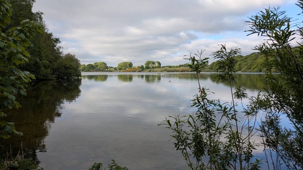TalkinTarn