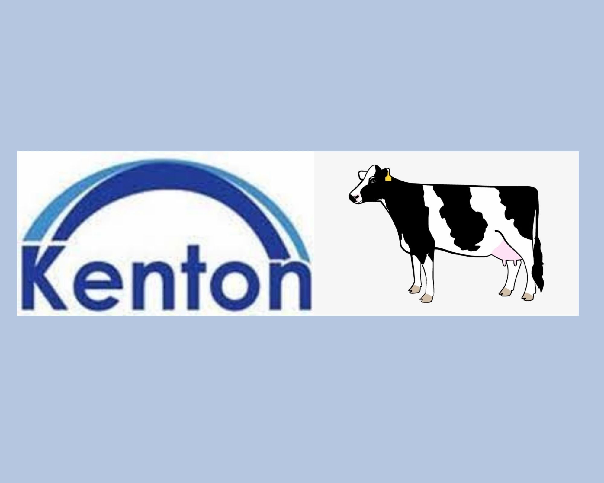 KentonCow